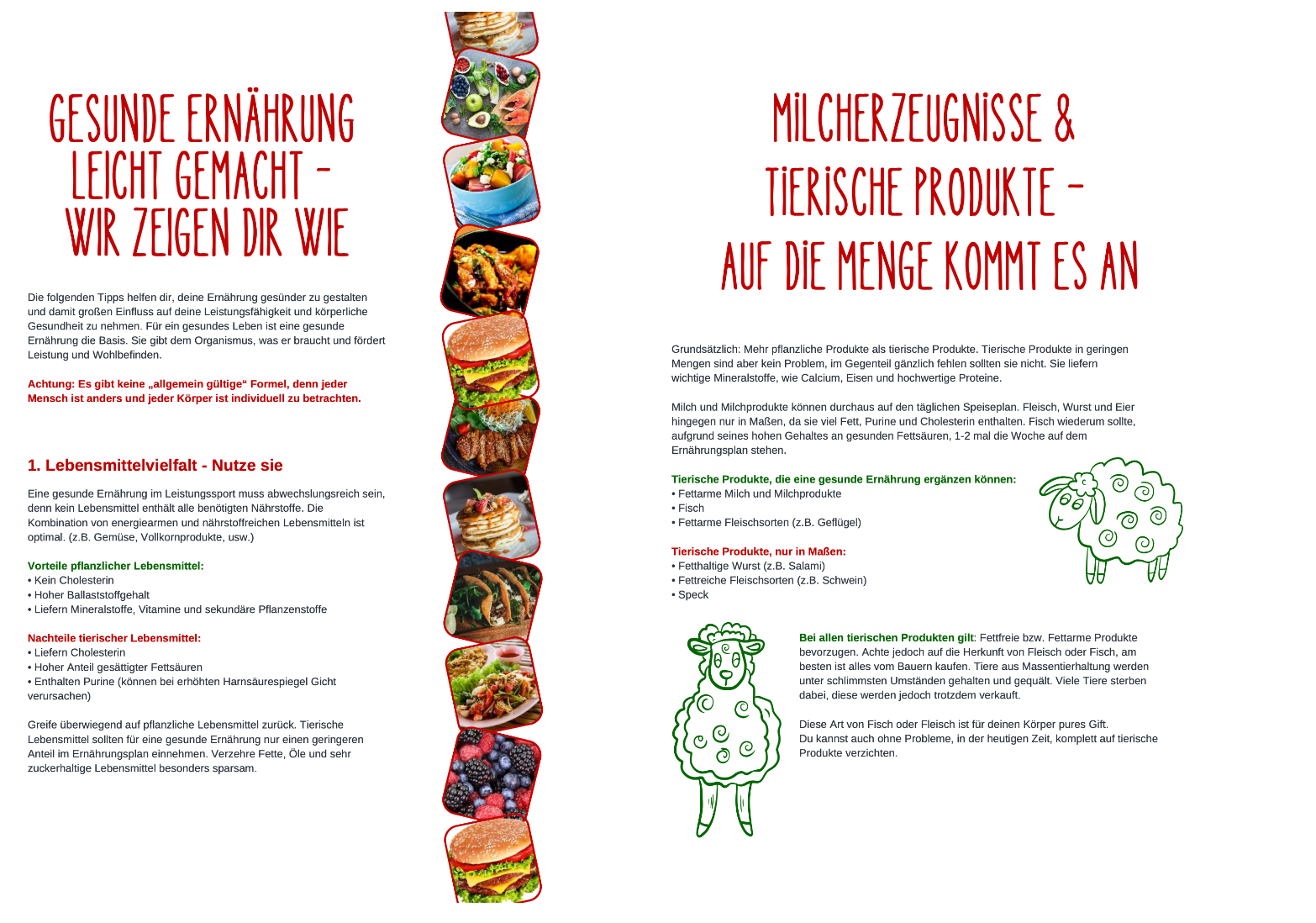 "Tipps zur gesunden Ernährung: Fokus auf Lebensmittelvielfalt und maßvollen Konsum tierischer Produkte."