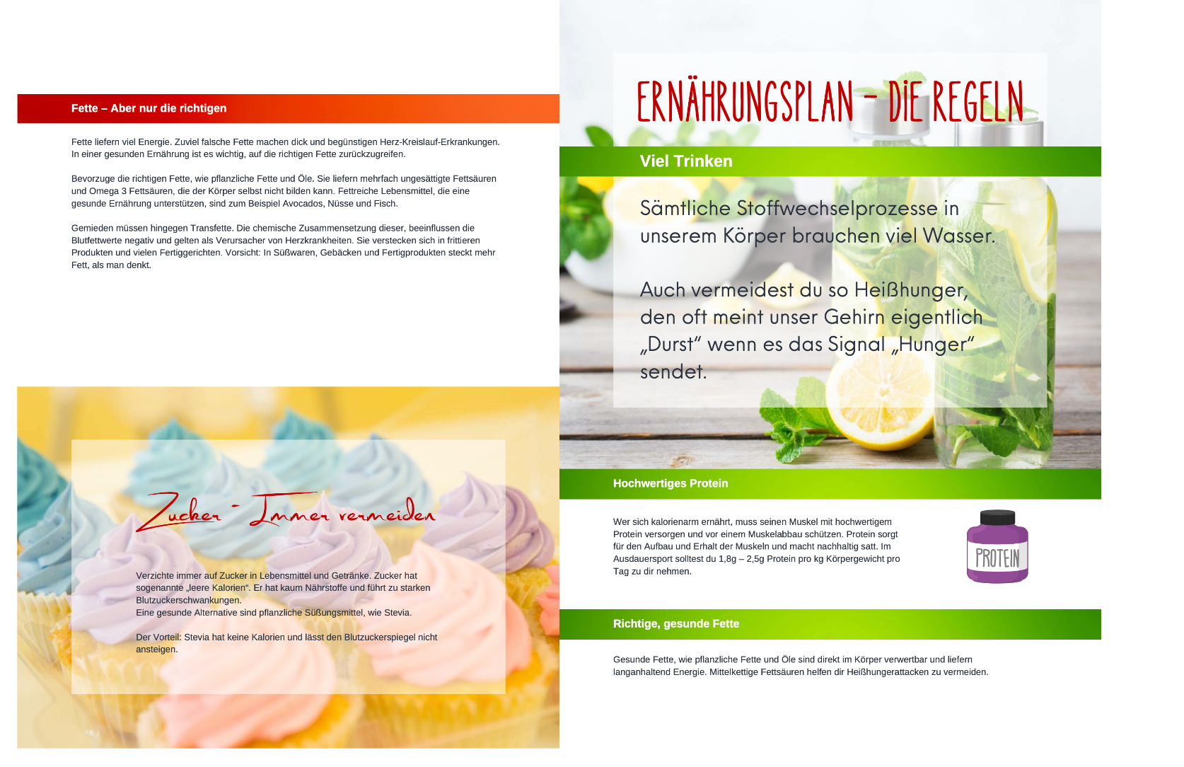"Tipps zur Ernährung: Richtige Fette, Zucker vermeiden, viel trinken und hochwertiges Protein nutzen."