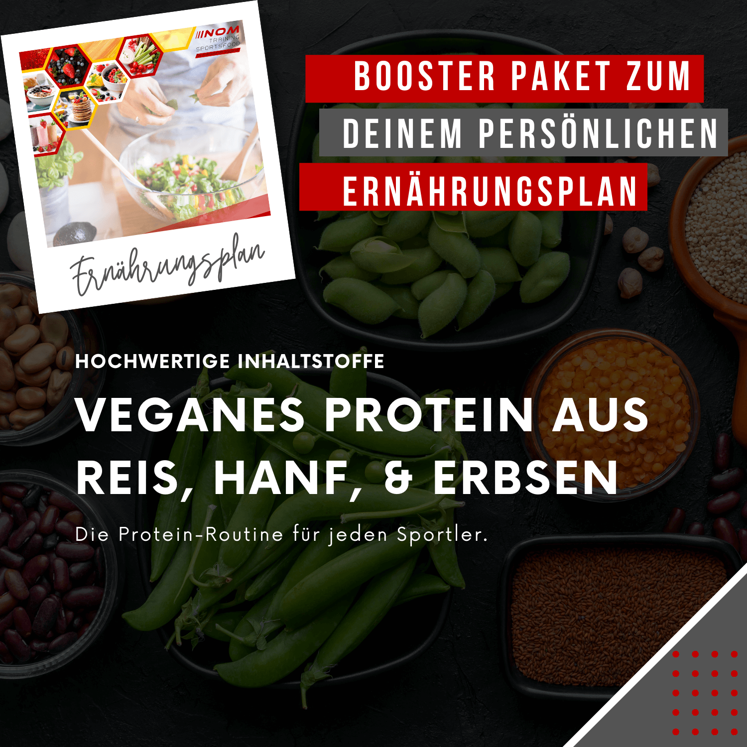 "Booster Paket zum persönlichen Ernährungsplan: Veganes Protein aus Reis, Hanf und Erbsen – hochwertige Inhaltsstoffe für deine Protein-Routine als Sportler."