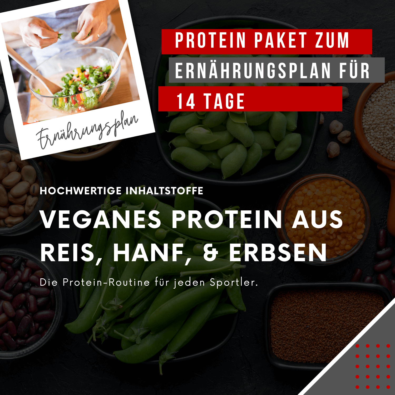 "Protein-Paket zum 14-Tage-Ernährungsplan: Hochwertiges veganes Protein aus Reis, Hanf und Erbsen für Sportler."