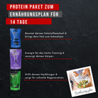 "Protein-Paket zum 14-Tage-Ernährungsplan: NOM Basic für Fettverbrennung, NOM Intervall für intensives Training, NOM Dinner für Regeneration."