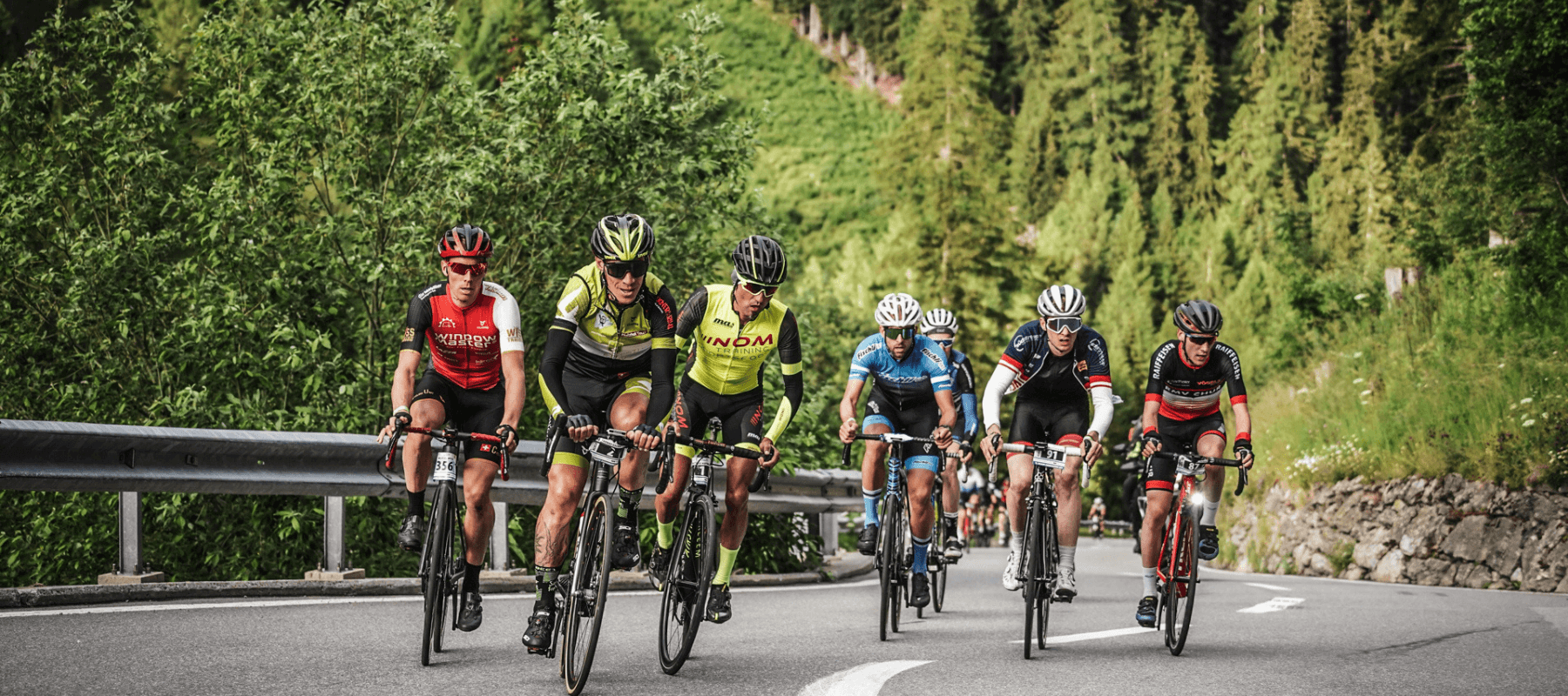 "Gruppe von Radfahrern fährt konzentriert bergauf durch eine grüne, bewaldete Landschaft während eines Rennens."
